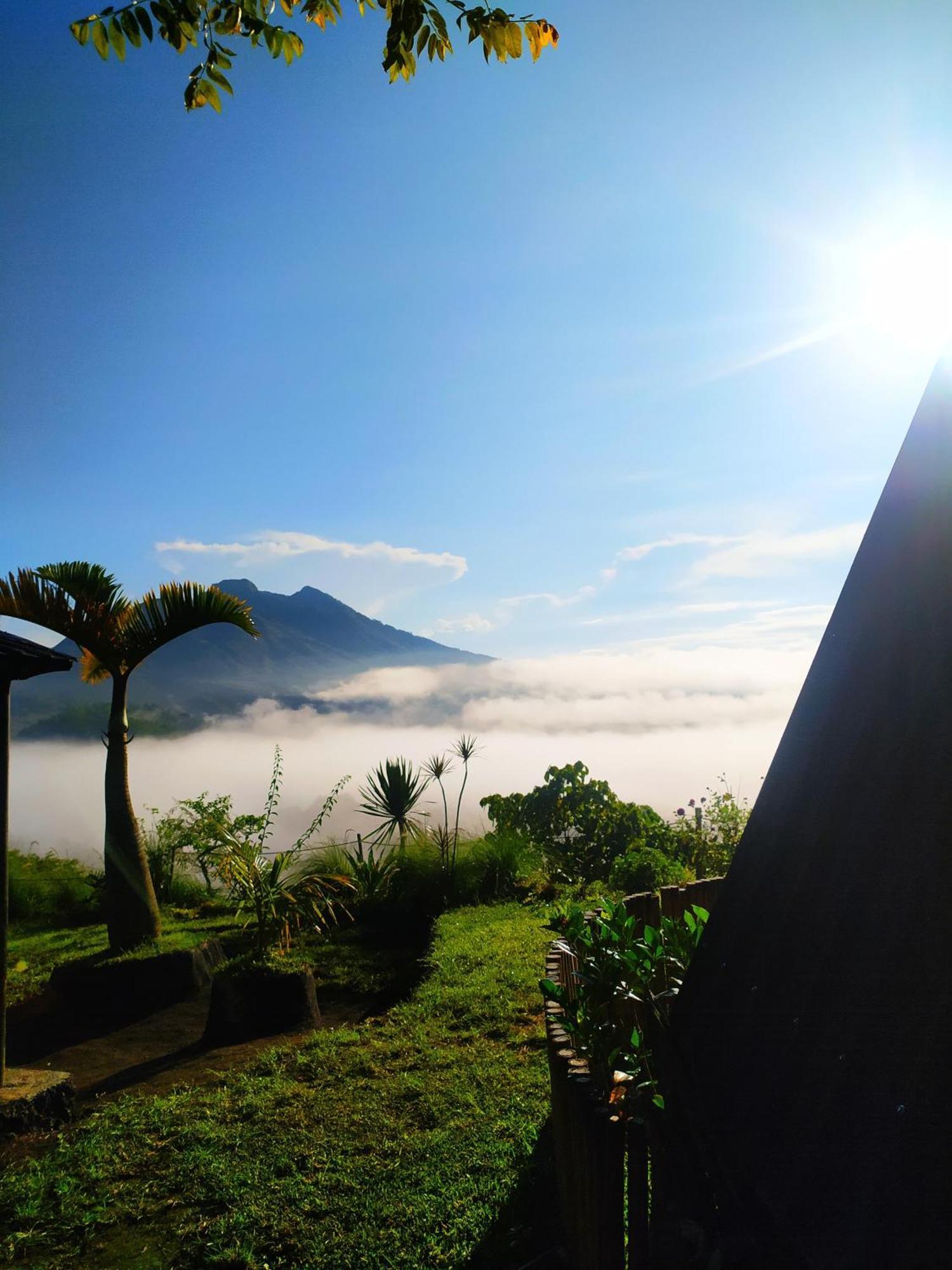 Kintamani Adventures 'Hide In Nature Lodge' 外观 照片