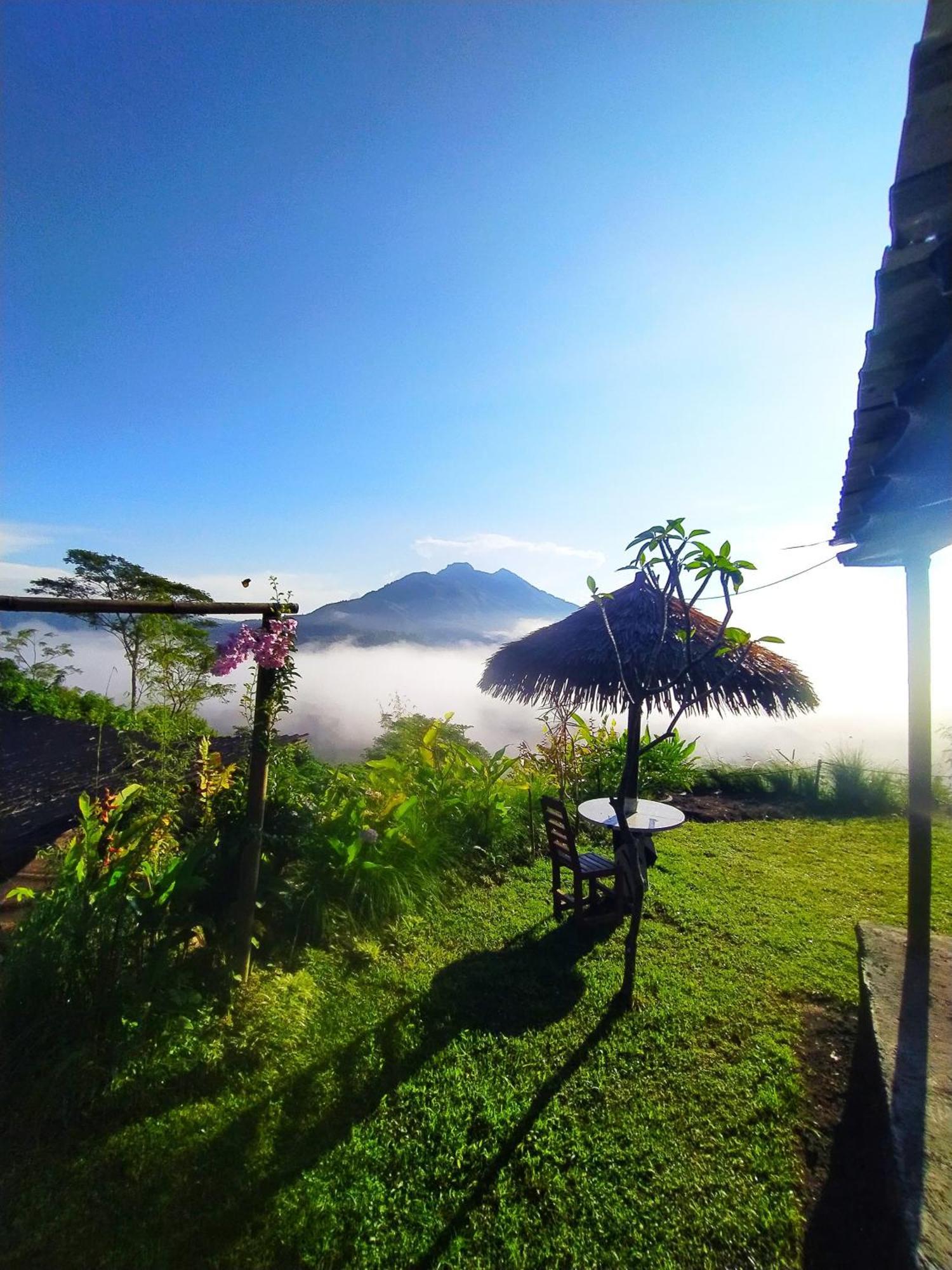 Kintamani Adventures 'Hide In Nature Lodge' 外观 照片